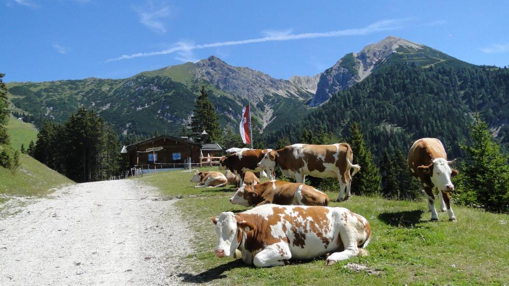 Hotel Moesererhof Mösern Esterno foto